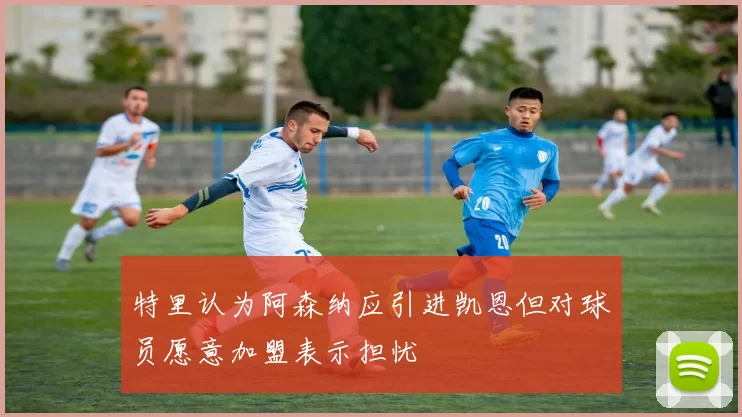 特里认为阿森纳应引进凯恩但对球员愿意加盟表示担忧