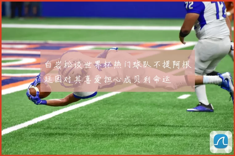 白岩松谈世界杯热门球队不提阿根廷因对其喜爱担心成贝利命运